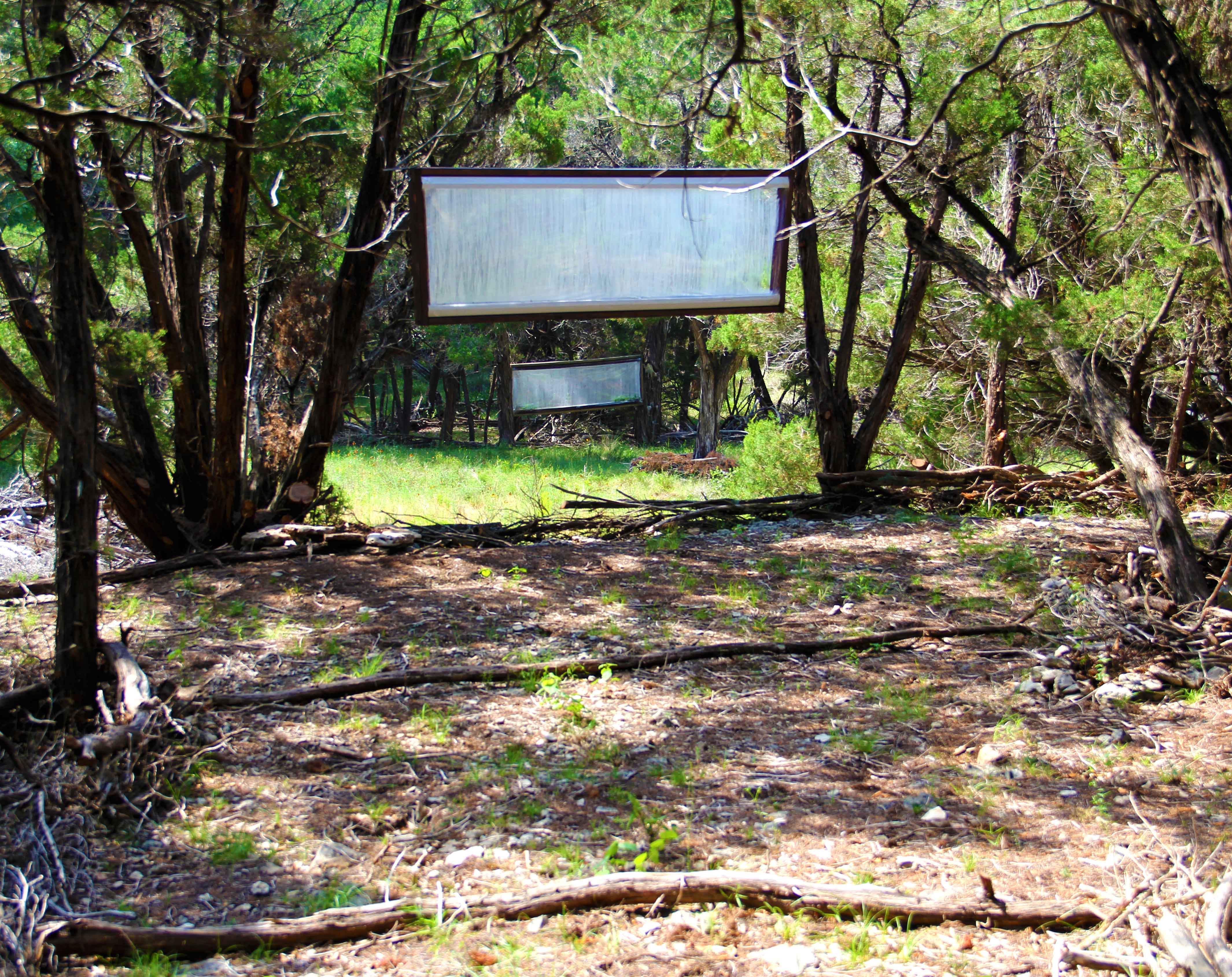 Multidisciplinary Artist Gallery